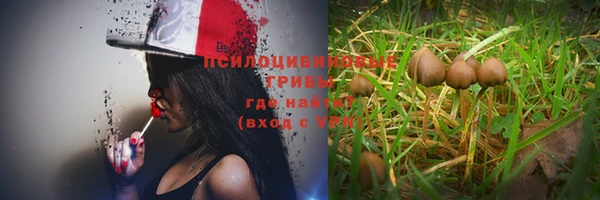 мет Алексеевка