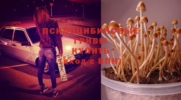 мет Алексеевка