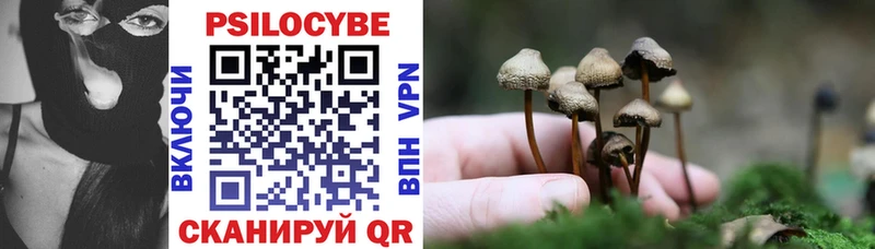 Псилоцибиновые грибы MAGIC MUSHROOMS  Раменское 