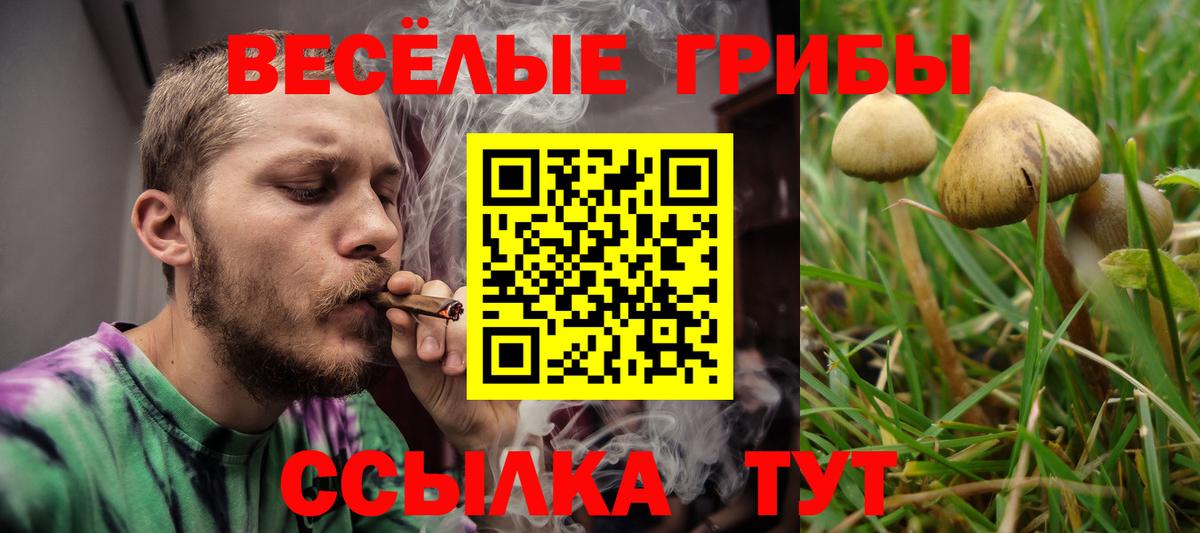 Псилоцибиновые грибы Psilocybe  Вход с VPN  купить   Раменское 