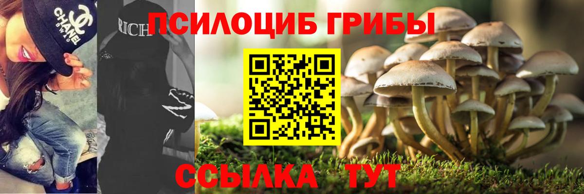 Псилоцибиновые грибы мицелий Раменское